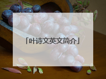 叶诗文英文简介