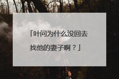 叶问为什么没回去找他的妻子啊?