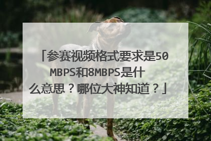 参赛视频格式要求是50MBPS和8MBPS是什么意思？哪位大神知道？