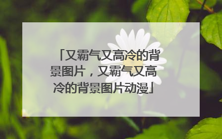 又霸气又高冷的背景图片,又霸气又高冷的背景图片动漫