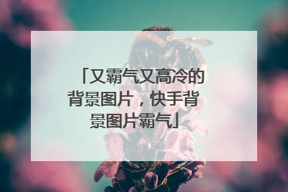 又霸气又高冷的背景图片,快手背景图片霸气