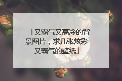 又霸气又高冷的背景图片,求几张炫彩又霸气的壁纸