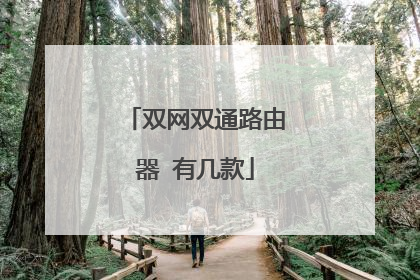 双网双通路由器 有几款