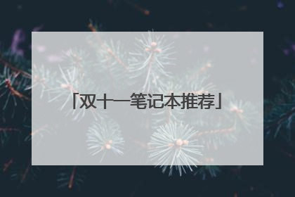 双十一笔记本推荐