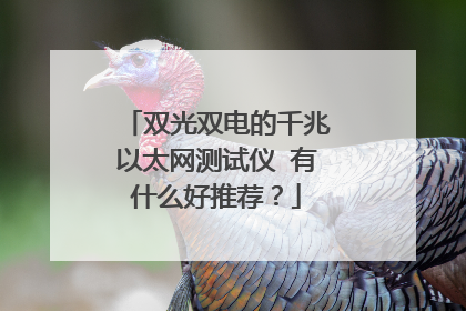 双光双电的千兆以太网测试仪 有什么好推荐？