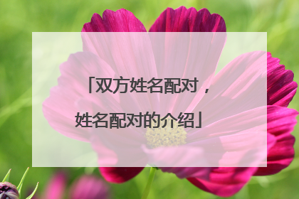 双方姓名配对,姓名配对的介绍