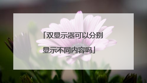 双显示器可以分别显示不同内容吗