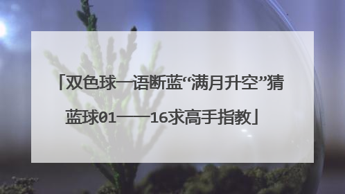 双色球一语断蓝“满月升空”猜蓝球01一一16求高手指教