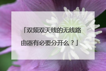 双频双天线的无线路由器有必要分开么?