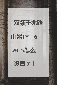双频千兆路由器TY一6201S怎么设置?