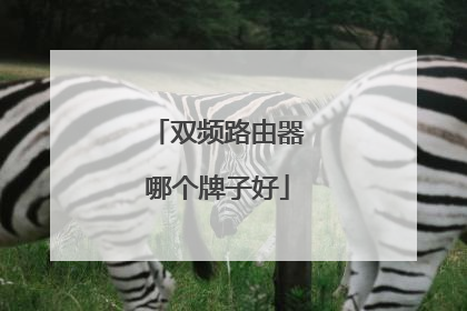 双频路由器哪个牌子好