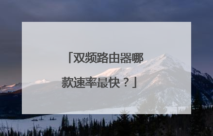双频路由器哪款速率最快?