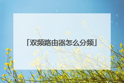 双频路由器怎么分频