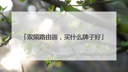 双频路由器,买什么牌子好