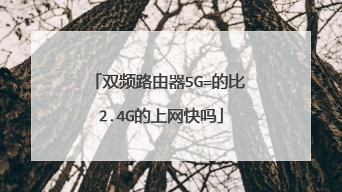 双频路由器5G=的比2.4G的上网快吗