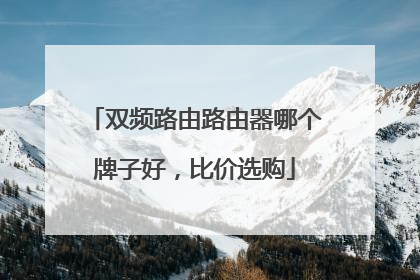 双频路由路由器哪个牌子好，比价选购