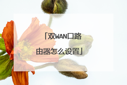 双WAN口路由器怎么设置