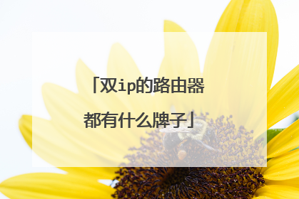 双ip的路由器都有什么牌子