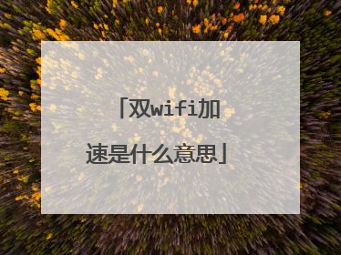 双wifi加速是什么意思