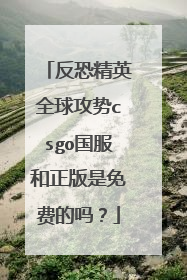 反恐精英全球攻势csgo国服和正版是免费的吗？
