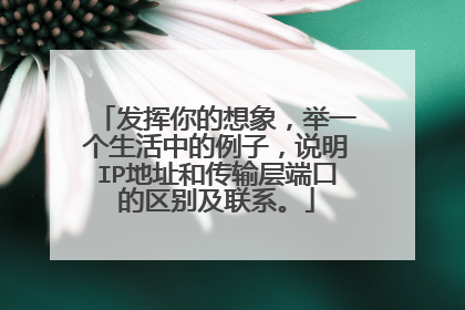 发挥你的想象，举一个生活中的例子，说明IP地址和传输层端口的区别及联系。