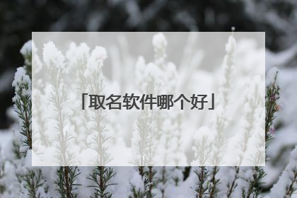 取名软件哪个好