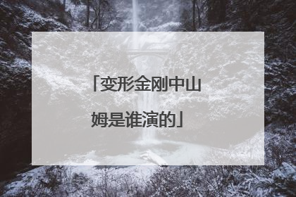 变形金刚中山姆是谁演的