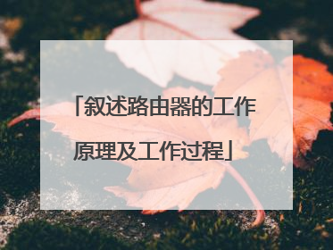 叙述路由器的工作原理及工作过程