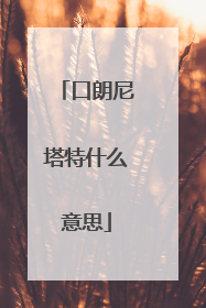 口朗尼塔特什么意思