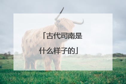 古代司南是什么样子的