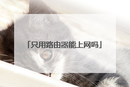 只用路由器能上网吗