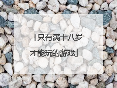 只有满十八岁才能玩的游戏