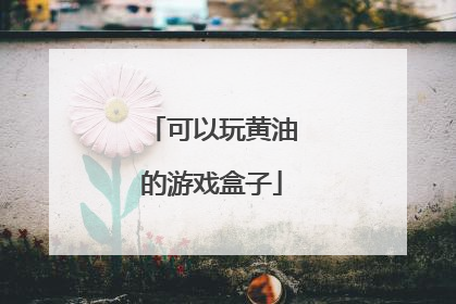 可以玩黄油的游戏盒子