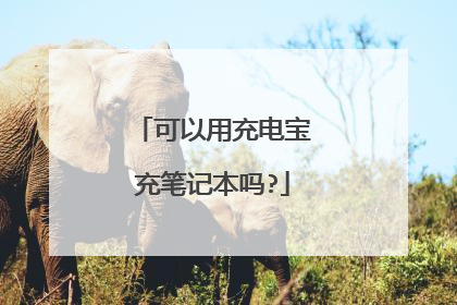 可以用充电宝充笔记本吗?