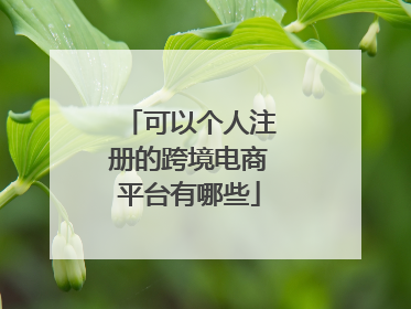可以个人注册的跨境电商平台有哪些