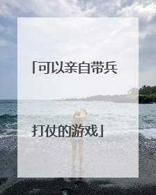 可以亲自带兵打仗的游戏