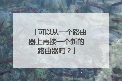 可以从一个路由器上再接一个新的路由器吗?
