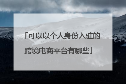 可以以个人身份入驻的跨境电商平台有哪些