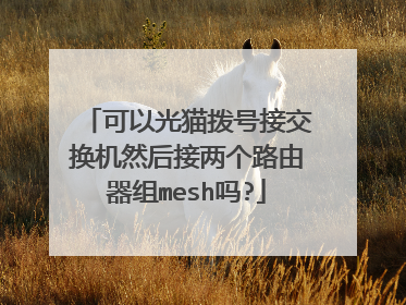 可以光猫拨号接交换机然后接两个路由器组mesh吗?