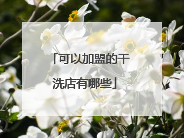 可以加盟的干洗店有哪些