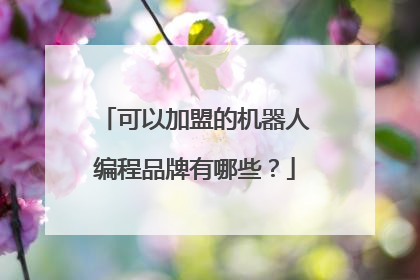可以加盟的机器人编程品牌有哪些?