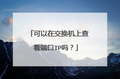 可以在交换机上查看端口IP吗？