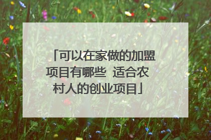 可以在家做的加盟项目有哪些 适合农村人的创业项目
