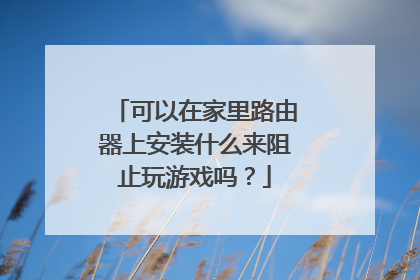 可以在家里路由器上安装什么来阻止玩游戏吗?