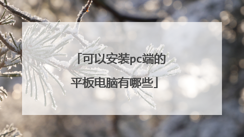 可以安装pc端的平板电脑有哪些