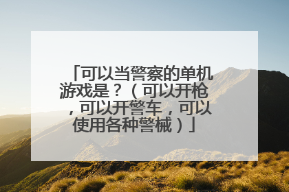 可以当警察的单机游戏是？（可以开枪，可以开警车，可以使用各种警械）