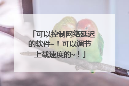 可以控制网络延迟的软件~!可以调节上载速度的~!