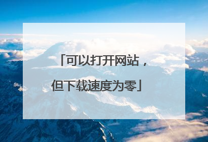 可以打开网站,但下载速度为零