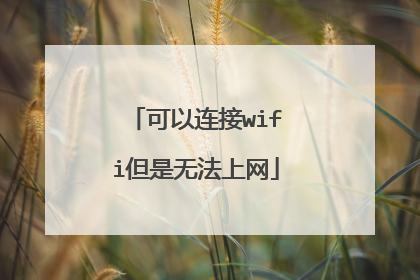可以连接wifi但是无法上网