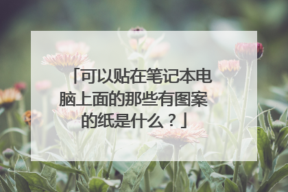 可以贴在笔记本电脑上面的那些有图案的纸是什么？